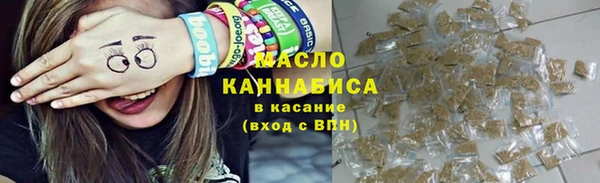 хмурый Аркадак