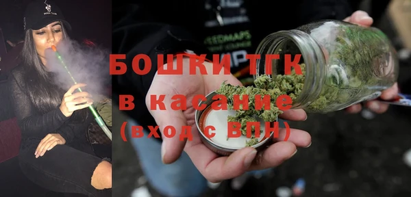 хмурый Аркадак