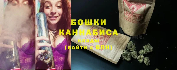 шишки Армянск