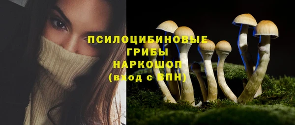 шишки Армянск