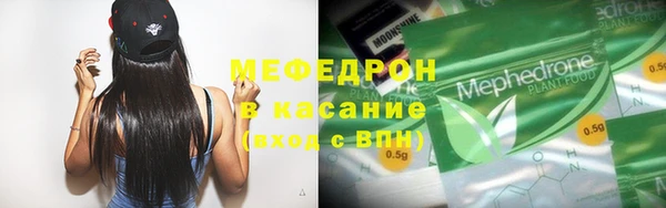 хмурый Аркадак