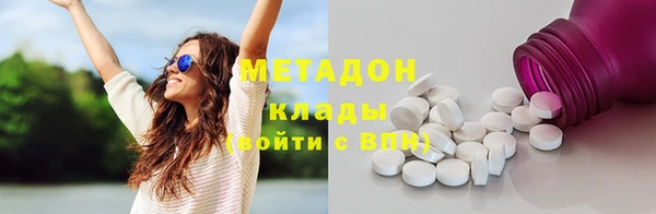 хмурый Аркадак