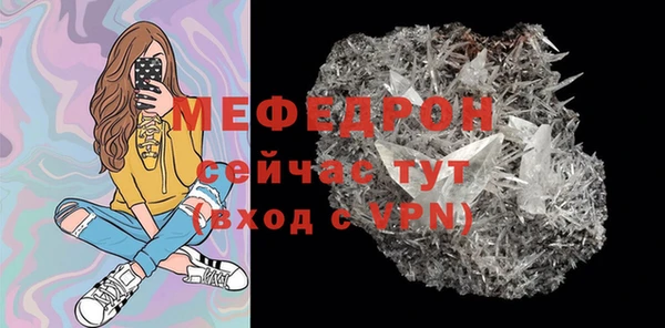 хмурый Аркадак