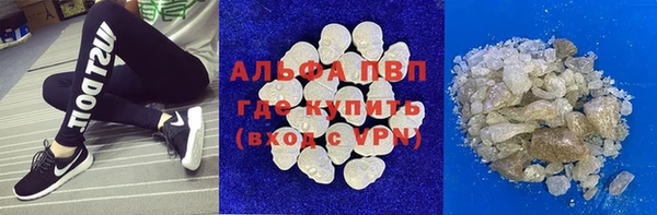хмурый Аркадак
