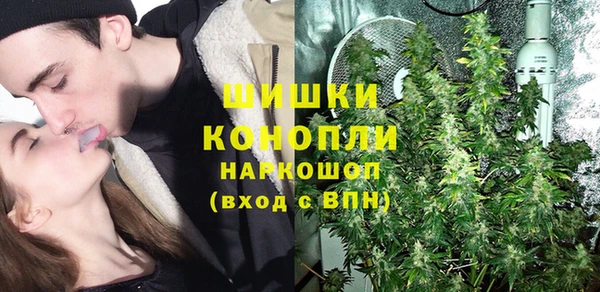 шишки Армянск