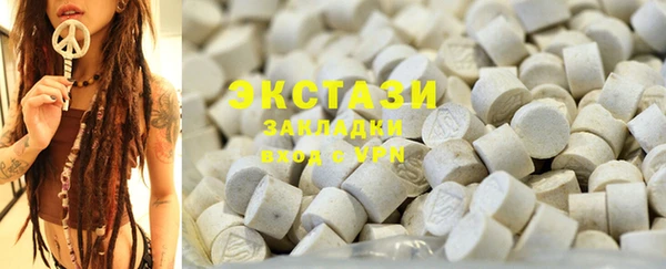 хмурый Аркадак