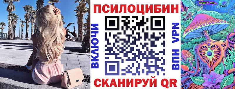 наркота  Полярные Зори  Псилоцибиновые грибы Psilocybe 